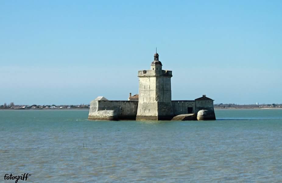 Le Clos Des Oiseaux Saintes Luaran gambar